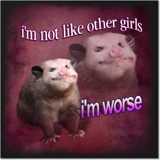 Possum Meme Posters and Art